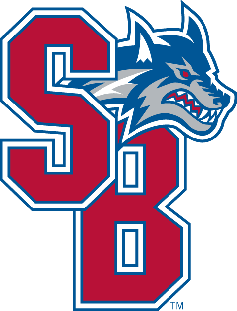 Stony Brook Seawolves 2008-Pres Secondary Logo iron on transfers for clothing